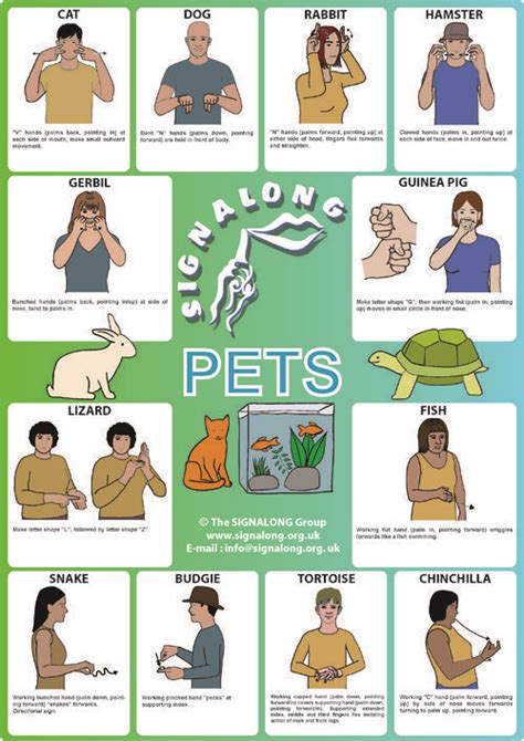 sign pet in asl.